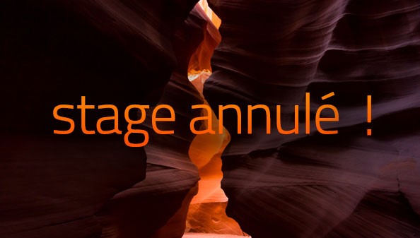 actu_stageannule