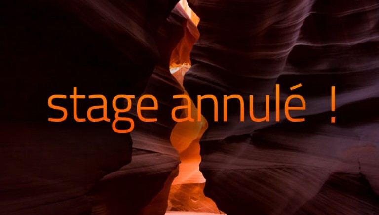 actu_stageannule